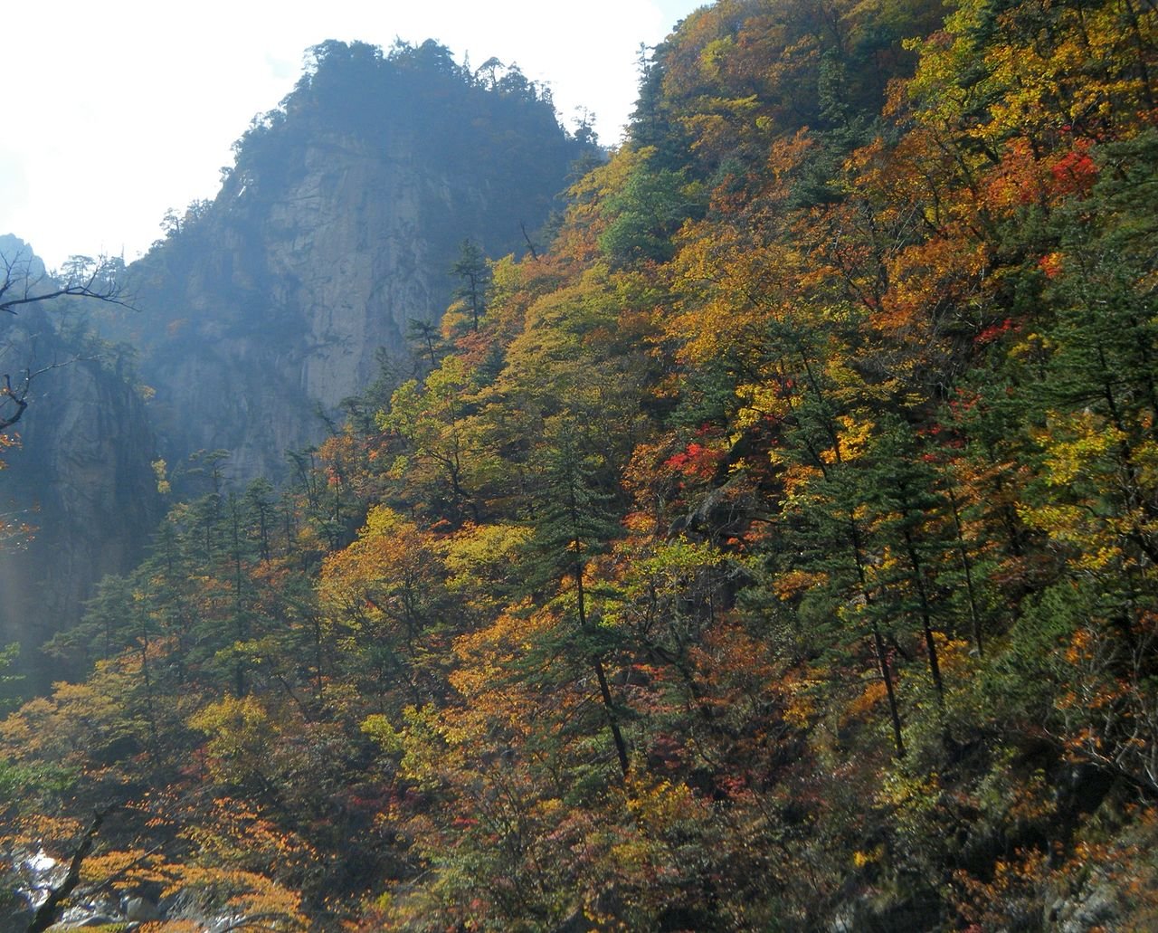 이벤트 사진
