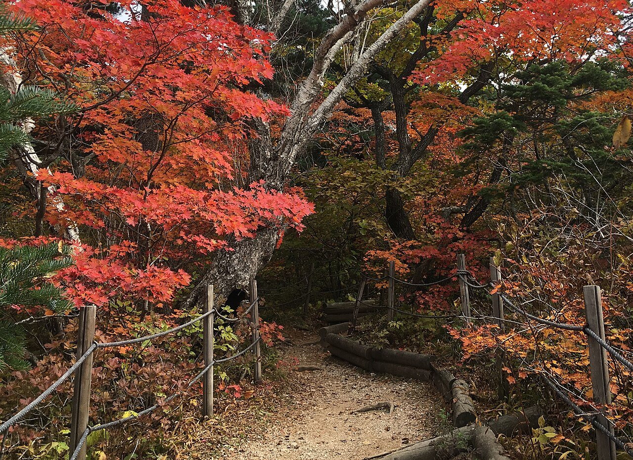 이벤트 사진