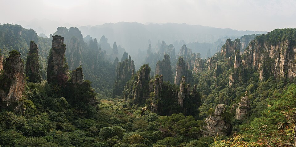이벤트 사진