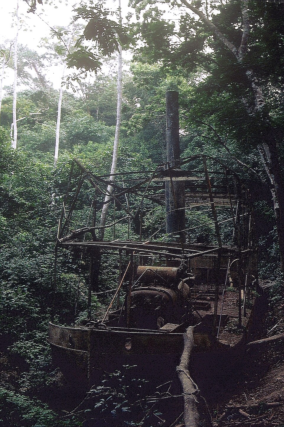 이벤트 사진