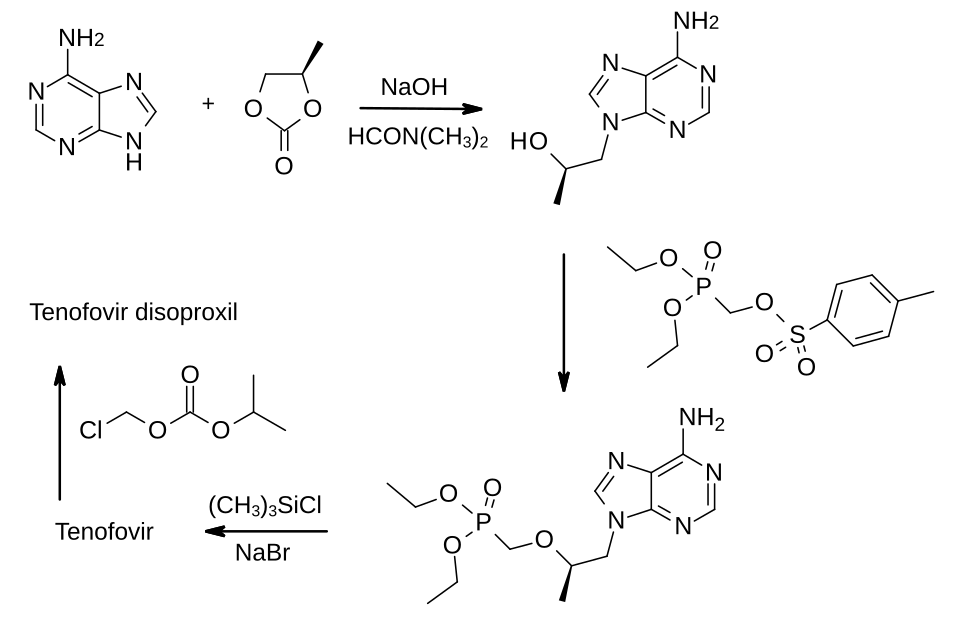 이벤트 사진